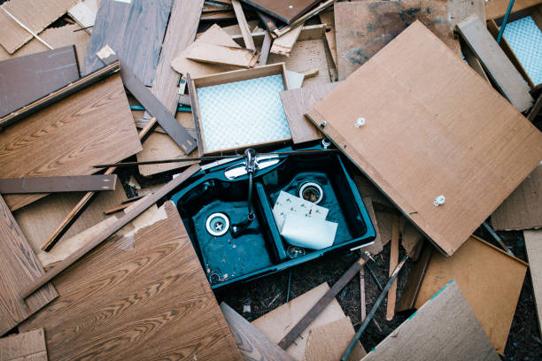 Best Attic Cleanout  in Madison Heights, VA